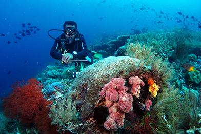 Taman Nasional Wakatobi