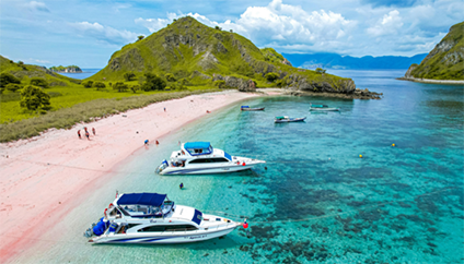 Pulau Komodo & Pink Beach